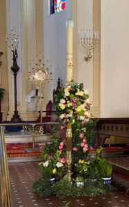 492311550 10238457304031101 6482815952873084185 N